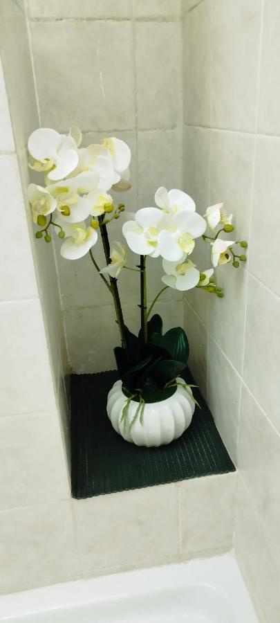 Epiro Home Roma Ngoại thất bức ảnh